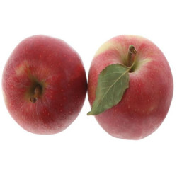 POMME ROYAL GALA LOT C 12KG